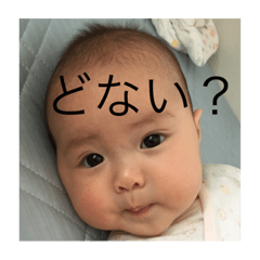 [LINEスタンプ] ほそやんのすたんぷやで