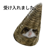 [LINEスタンプ] 動物病院のスタンプ