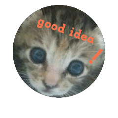 [LINEスタンプ] 猫。。。他