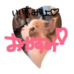 [LINEスタンプ] しょーらぐ