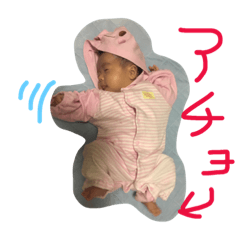 [LINEスタンプ] はちゅの日常