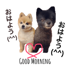 [LINEスタンプ] フク♡テン