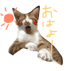 [LINEスタンプ] おみのひまちゃんスタンプ