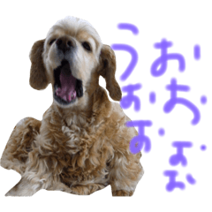 [LINEスタンプ] ラビの1日