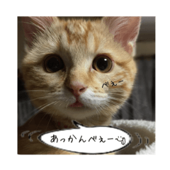 [LINEスタンプ] めんまとなると その2