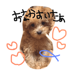 [LINEスタンプ] らうたん。