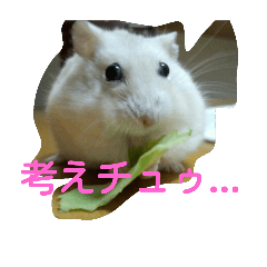 [LINEスタンプ] むーむー①