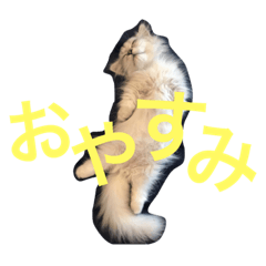 [LINEスタンプ] ゆりちゃんず1