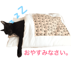 [LINEスタンプ] ネコスタンプ☆