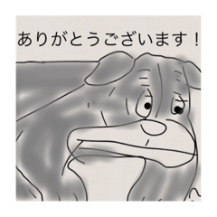 [LINEスタンプ] 日常で使える、鳥と犬のスタンプです。