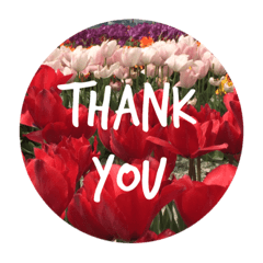 [LINEスタンプ] ありがとうの気持ちを贈るお花のスタンプ