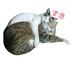 [LINEスタンプ] にぼしとちくわ