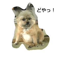 [LINEスタンプ] あくびスタンプ1