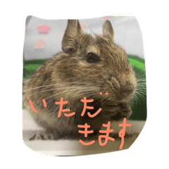 [LINEスタンプ] デグーデグー