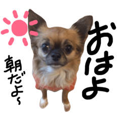 [LINEスタンプ] びすたとせぶん