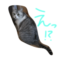 [LINEスタンプ] 猫のらむ