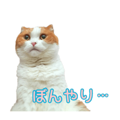 [LINEスタンプ] ぽんころスタンプ