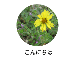 [LINEスタンプ] 山草花