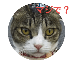 [LINEスタンプ] にご～