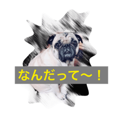 [LINEスタンプ] 影くんと麦ちゃん