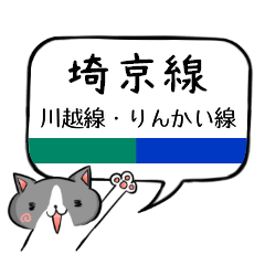 [LINEスタンプ] 埼京線/りんかい/川越 ココだよネコちゃん