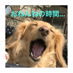 [LINEスタンプ] ふたばです