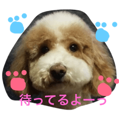 [LINEスタンプ] ルアナとゆあ