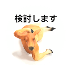 [LINEスタンプ] 苦労カンガルー