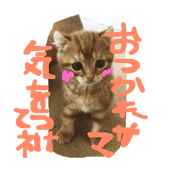 [LINEスタンプ] とうわスタンプ2