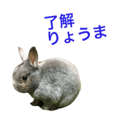 [LINEスタンプ] りょうまがゆく