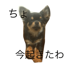 [LINEスタンプ] リロはん