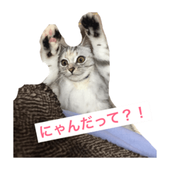 [LINEスタンプ] といスたんぷ