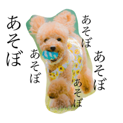 [LINEスタンプ] 犬のいる暮らし