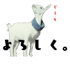 [LINEスタンプ] 動物のふたことすたんぷ！