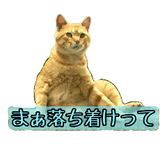 [LINEスタンプ] 油絵風猫のボヤキ