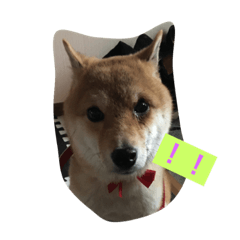 [LINEスタンプ] 愛犬が代わりに答えます 2