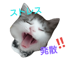 [LINEスタンプ] LEON すたんぷ