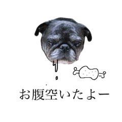 [LINEスタンプ] ひよこちゃんと、ときどきえだまめちゃん3