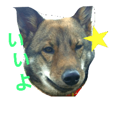 [LINEスタンプ] こたぽん