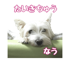 [LINEスタンプ] ウェスティのモコ