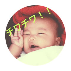 [LINEスタンプ] チワチワ