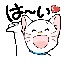 [LINEスタンプ] 白猫「シロ」の日常スタンプ