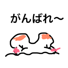 [LINEスタンプ] きもくま11