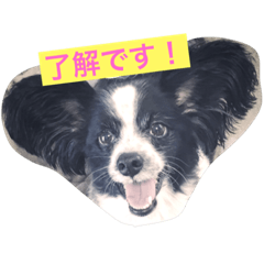 [LINEスタンプ] 愛犬トング