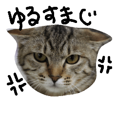 [LINEスタンプ] けん玉君とネコ