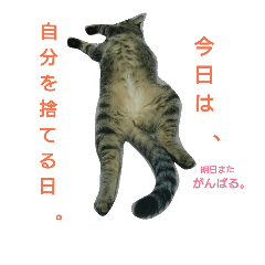 [LINEスタンプ] すきまとまぐろの日常2