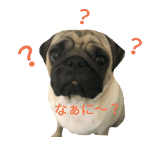 [LINEスタンプ] パグのビビちゃん