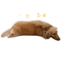 [LINEスタンプ] 懶骨頭 豆底