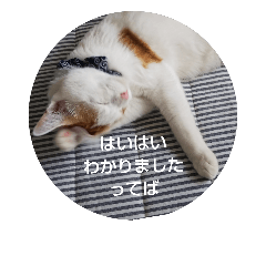 [LINEスタンプ] ちゃちゃちゃのちゃ2