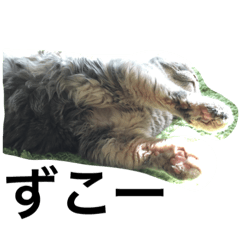 [LINEスタンプ] いつものもんちゃん①